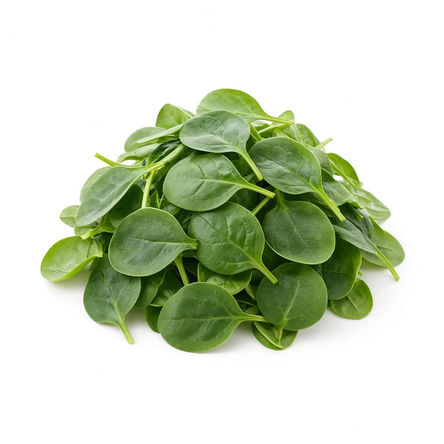 Baby Spinach