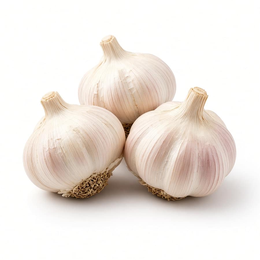 Garlic Bulbs